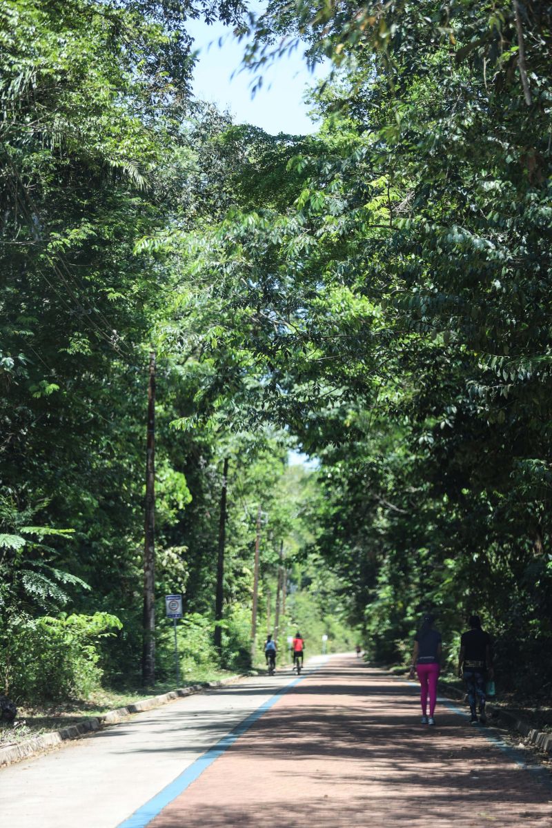  <div class='credito_fotos'>Foto: Bruno Cecim / Ag.Pará &nbsp;&nbsp;|&nbsp;&nbsp; <a href='/midias/2024/originais/20898_5e163d2d-cb3b-2a23-b172-80c17823ef5e.jpg' download><i class='fa-solid fa-download'></i> Download</a></div>