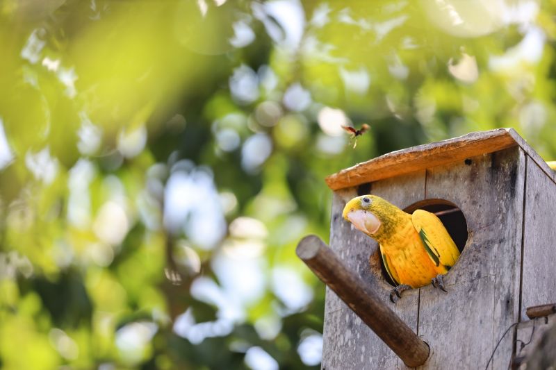  <div class='credito_fotos'>Foto: Bruno Cecim / Ag.Pará &nbsp;&nbsp;|&nbsp;&nbsp; <a href='/midias/2024/originais/20898_603d80f1-cb33-ad7e-2704-1d91adaae070.jpg' download><i class='fa-solid fa-download'></i> Download</a></div>