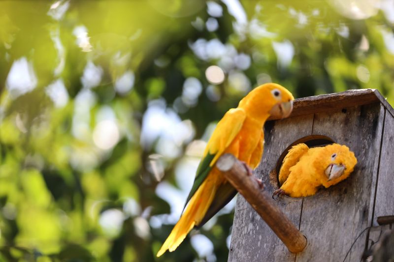  <div class='credito_fotos'>Foto: Bruno Cecim / Ag.Pará &nbsp;&nbsp;|&nbsp;&nbsp; <a href='/midias/2024/originais/20898_67433e89-293b-7c12-68a9-cbb77e0aa7a5.jpg' download><i class='fa-solid fa-download'></i> Download</a></div>