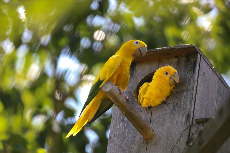  <div class='credito_fotos'>Foto: Bruno Cecim / Ag.Pará &nbsp;&nbsp;|&nbsp;&nbsp; <a href='/midias/2024/originais/20898_67c98601-1756-65f8-67f2-0875792121df.jpg' download><i class='fa-solid fa-download'></i> Download</a></div>