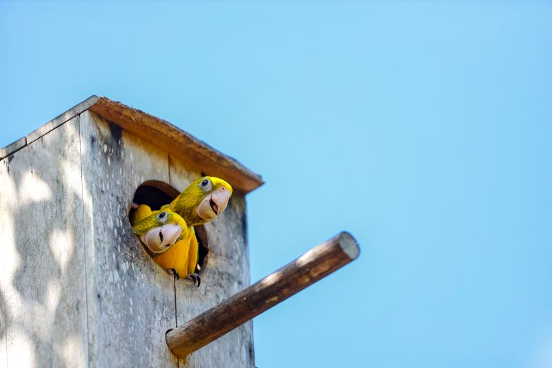  <div class='credito_fotos'>Foto: Bruno Cecim / Ag.Pará &nbsp;&nbsp;|&nbsp;&nbsp; <a href='/midias/2024/originais/20898_78587df9-92a4-e269-96bf-6e3f4fe7afea.jpg' download><i class='fa-solid fa-download'></i> Download</a></div>