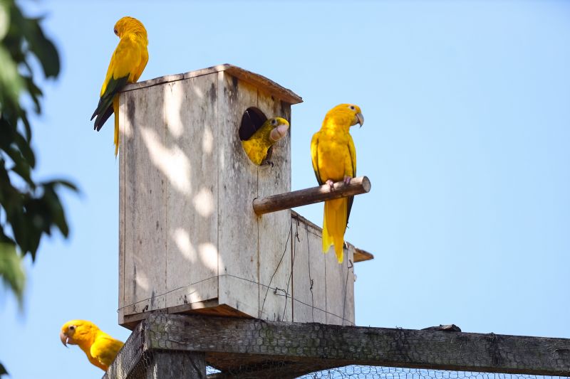  <div class='credito_fotos'>Foto: Bruno Cecim / Ag.Pará &nbsp;&nbsp;|&nbsp;&nbsp; <a href='/midias/2024/originais/20898_8e5234cd-b215-bbce-01f6-8adf6c687350.jpg' download><i class='fa-solid fa-download'></i> Download</a></div>