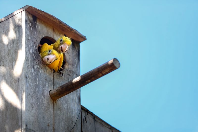  <div class='credito_fotos'>Foto: Bruno Cecim / Ag.Pará &nbsp;&nbsp;|&nbsp;&nbsp; <a href='/midias/2024/originais/20898_94794b43-4068-7f1c-f24a-1594d4187048.jpg' download><i class='fa-solid fa-download'></i> Download</a></div>