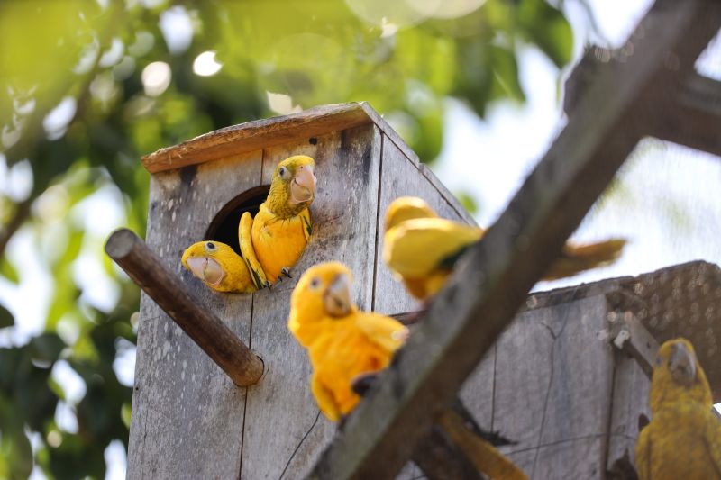  <div class='credito_fotos'>Foto: Bruno Cecim / Ag.Pará &nbsp;&nbsp;|&nbsp;&nbsp; <a href='/midias/2024/originais/20898_9c2ad985-6e22-abb9-a6cc-83e86f521ab0.jpg' download><i class='fa-solid fa-download'></i> Download</a></div>