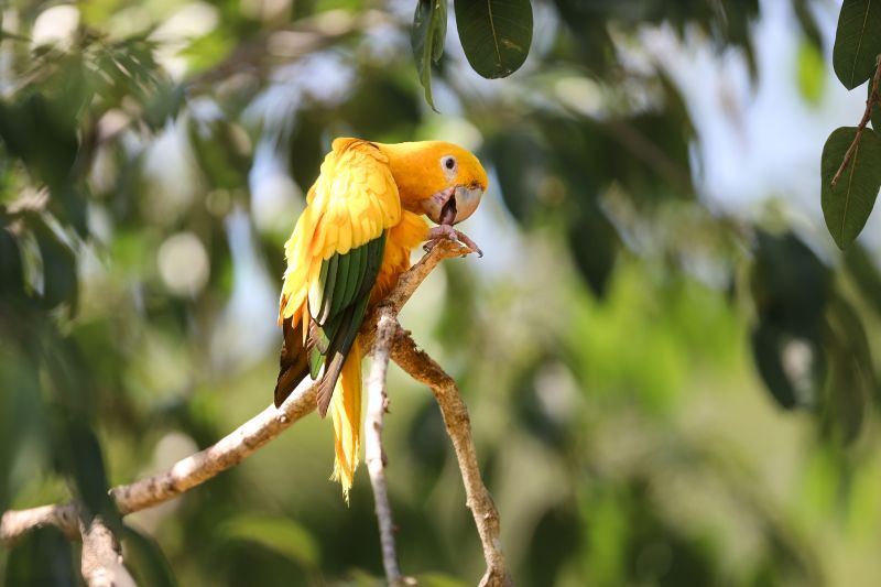  <div class='credito_fotos'>Foto: Bruno Cecim / Ag.Pará &nbsp;&nbsp;|&nbsp;&nbsp; <a href='/midias/2024/originais/20898_a5e718b2-eb73-f37f-634d-c165c31c4731.jpg' download><i class='fa-solid fa-download'></i> Download</a></div>