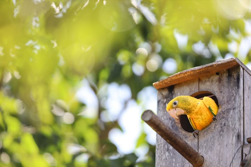  <div class='credito_fotos'>Foto: Bruno Cecim / Ag.Pará &nbsp;&nbsp;|&nbsp;&nbsp; <a href='/midias/2024/originais/20898_a5fbfbd2-a214-ef5c-e137-e7cf3adf5185.jpg' download><i class='fa-solid fa-download'></i> Download</a></div>