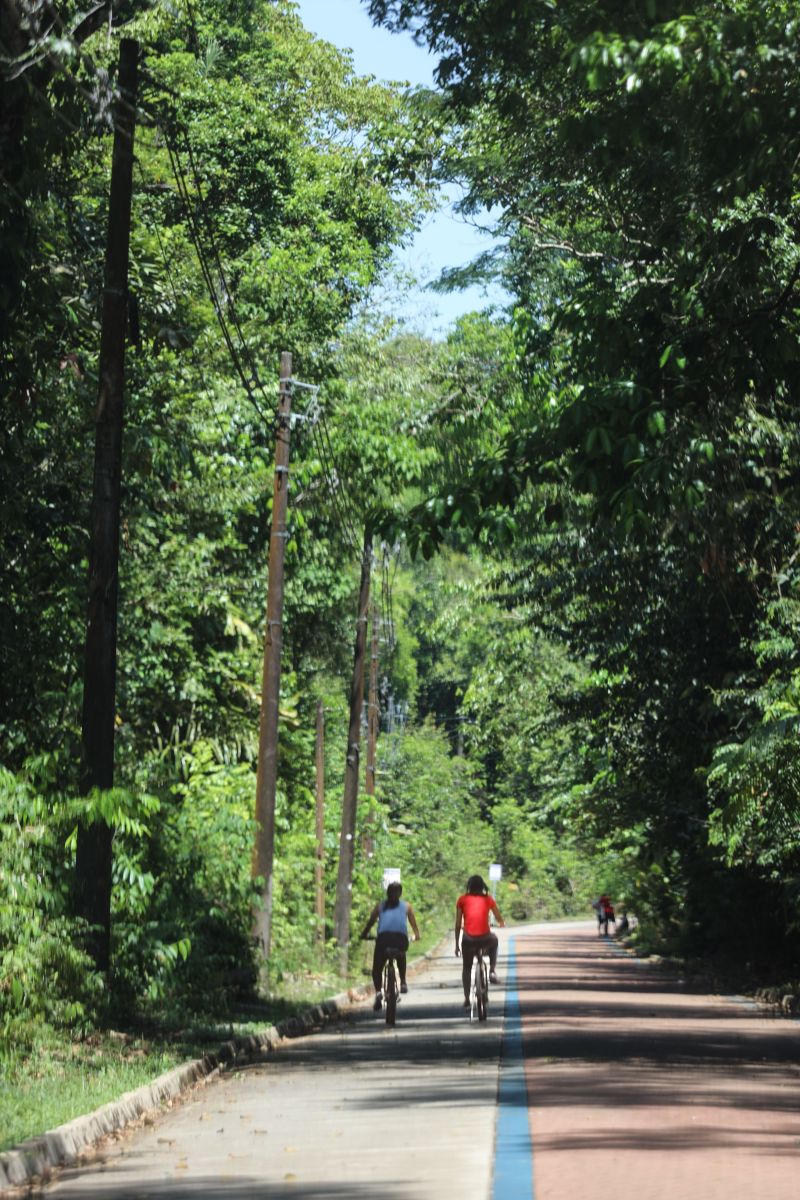  <div class='credito_fotos'>Foto: Bruno Cecim / Ag.Pará &nbsp;&nbsp;|&nbsp;&nbsp; <a href='/midias/2024/originais/20898_a832f18a-cb77-ce59-4c27-9b17ee1b0cf1.jpg' download><i class='fa-solid fa-download'></i> Download</a></div>