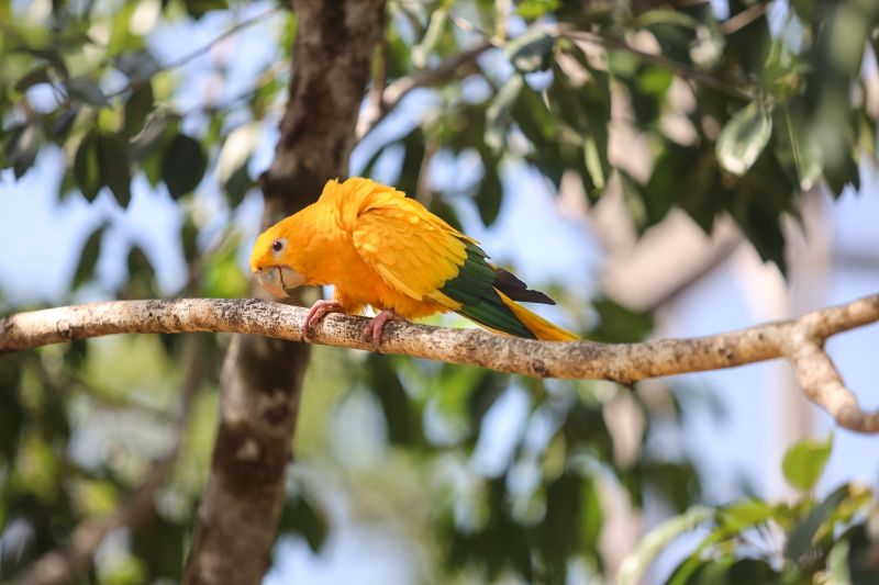  <div class='credito_fotos'>Foto: Bruno Cecim / Ag.Pará &nbsp;&nbsp;|&nbsp;&nbsp; <a href='/midias/2024/originais/20898_ad564eac-7582-c121-9698-381479f51de9.jpg' download><i class='fa-solid fa-download'></i> Download</a></div>