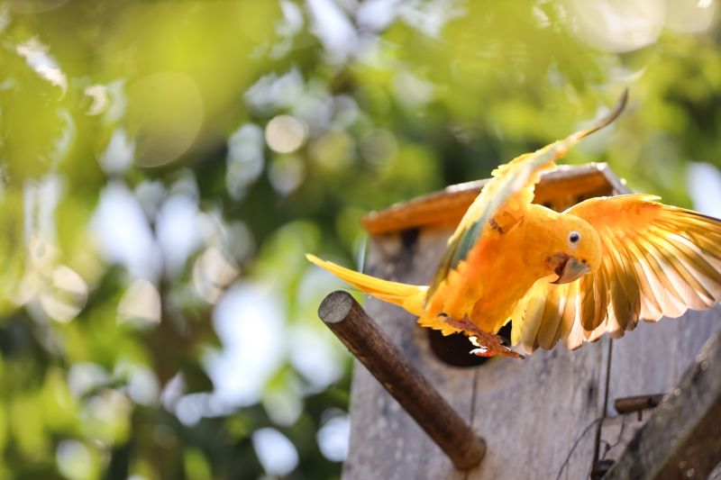  <div class='credito_fotos'>Foto: Bruno Cecim / Ag.Pará &nbsp;&nbsp;|&nbsp;&nbsp; <a href='/midias/2024/originais/20898_ae0145ce-116b-1ffb-4528-a519db1b9f0b.jpg' download><i class='fa-solid fa-download'></i> Download</a></div>