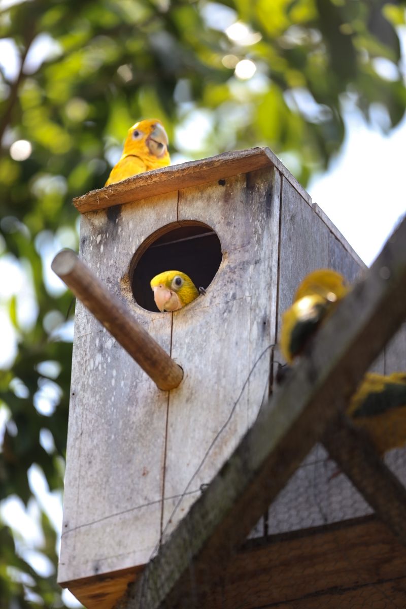  <div class='credito_fotos'>Foto: Bruno Cecim / Ag.Pará &nbsp;&nbsp;|&nbsp;&nbsp; <a href='/midias/2024/originais/20898_c42723cb-54e2-63fb-ad6a-150c99924e9f.jpg' download><i class='fa-solid fa-download'></i> Download</a></div>