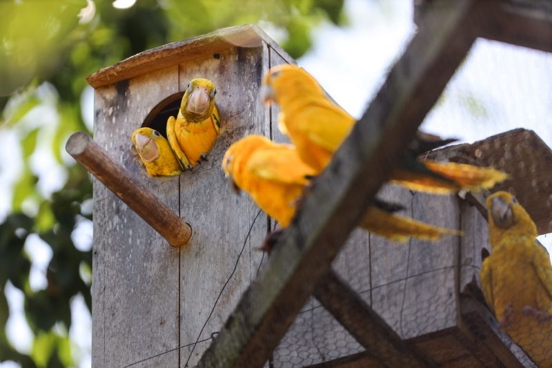  <div class='credito_fotos'>Foto: Bruno Cecim / Ag.Pará &nbsp;&nbsp;|&nbsp;&nbsp; <a href='/midias/2024/originais/20898_ebfcd74a-dab4-0488-e0c2-edb87b10216f.jpg' download><i class='fa-solid fa-download'></i> Download</a></div>