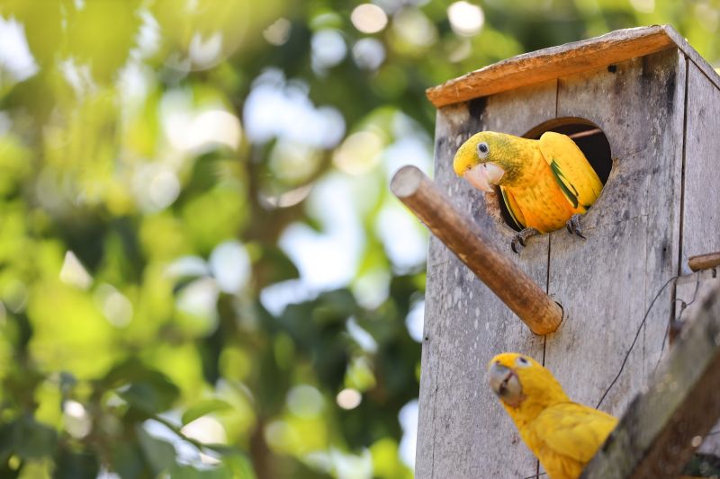  <div class='credito_fotos'>Foto: Bruno Cecim / Ag.Pará &nbsp;&nbsp;|&nbsp;&nbsp; <a href='/midias/2024/originais/20898_f333b562-2d9c-d567-6a5d-c7ac516f7f79.jpg' download><i class='fa-solid fa-download'></i> Download</a></div>