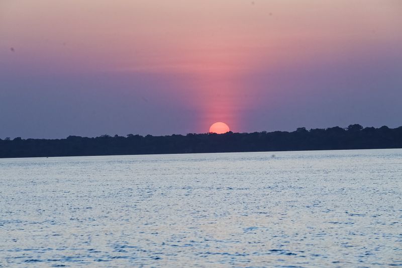  <div class='credito_fotos'>Foto: Bruno Cruz / Ag. Pará &nbsp;&nbsp;|&nbsp;&nbsp; <a href='/midias/2024/originais/20917_db1d907f-3be1-72aa-eab0-26d498dfd1fc.jpg' download><i class='fa-solid fa-download'></i> Download</a></div>