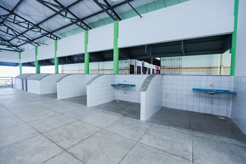  <div class='credito_fotos'>Foto: Bruno Cruz / Ag. Pará &nbsp;&nbsp;|&nbsp;&nbsp; <a href='/midias/2024/originais/20918_b5c477be-645d-dbca-1d55-db7aa178eba4.jpg' download><i class='fa-solid fa-download'></i> Download</a></div>