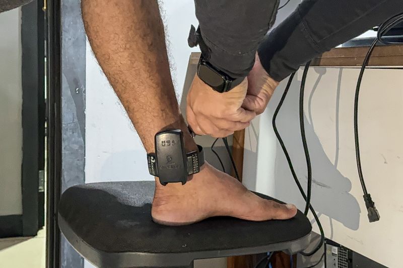  <div class='credito_fotos'>Foto: Divulgação &nbsp;&nbsp;|&nbsp;&nbsp; <a href='/midias/2024/originais/20928_9c366576-d621-219e-146f-86a03bcc90d3.jpg' download><i class='fa-solid fa-download'></i> Download</a></div>