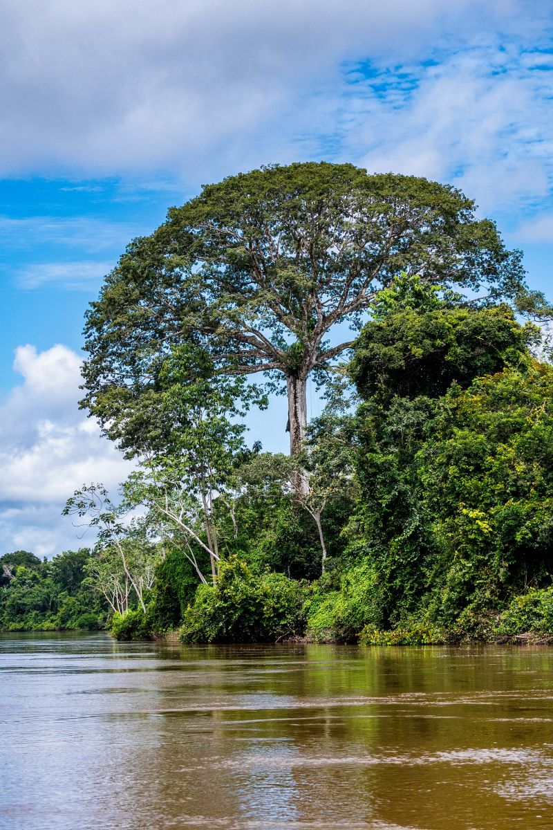 Foto: Fernando Sette <div class='credito_fotos'>Foto: Fernando Sette / Divulgação &nbsp;&nbsp;|&nbsp;&nbsp; <a href='/midias/2024/originais/20930_2482976c-a449-800b-0d7f-3b8af6e5b6ca.jpg' download><i class='fa-solid fa-download'></i> Download</a></div>