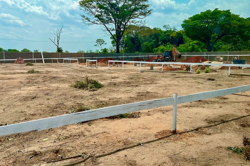  <div class='credito_fotos'>Foto: Roni Moreira / Ag.Pará &nbsp;&nbsp;|&nbsp;&nbsp; <a href='/midias/2024/originais/20935_38e2206f-2641-66a1-d851-7d6244ce263e.jpg' download><i class='fa-solid fa-download'></i> Download</a></div>