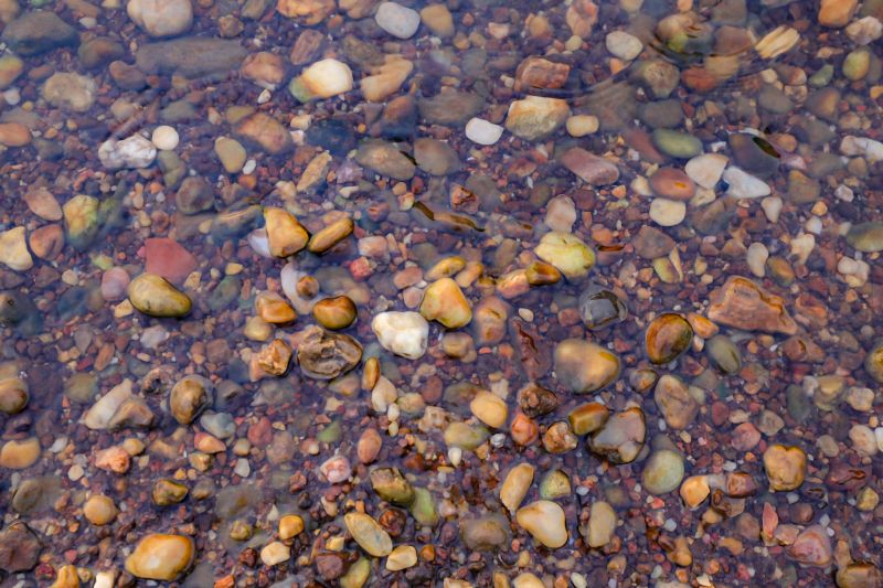  <div class='credito_fotos'>Foto: Bruno Cruz / Ag. Pará &nbsp;&nbsp;|&nbsp;&nbsp; <a href='/midias/2024/originais/20946_10208609-c221-a6f4-d14a-882b98297613.jpg' download><i class='fa-solid fa-download'></i> Download</a></div>