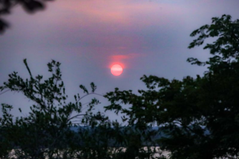  <div class='credito_fotos'>Foto: Bruno Cruz / Ag. Pará &nbsp;&nbsp;|&nbsp;&nbsp; <a href='/midias/2024/originais/20946_f7ac183f-b267-1a13-9ab4-4d77a7230c80.jpg' download><i class='fa-solid fa-download'></i> Download</a></div>