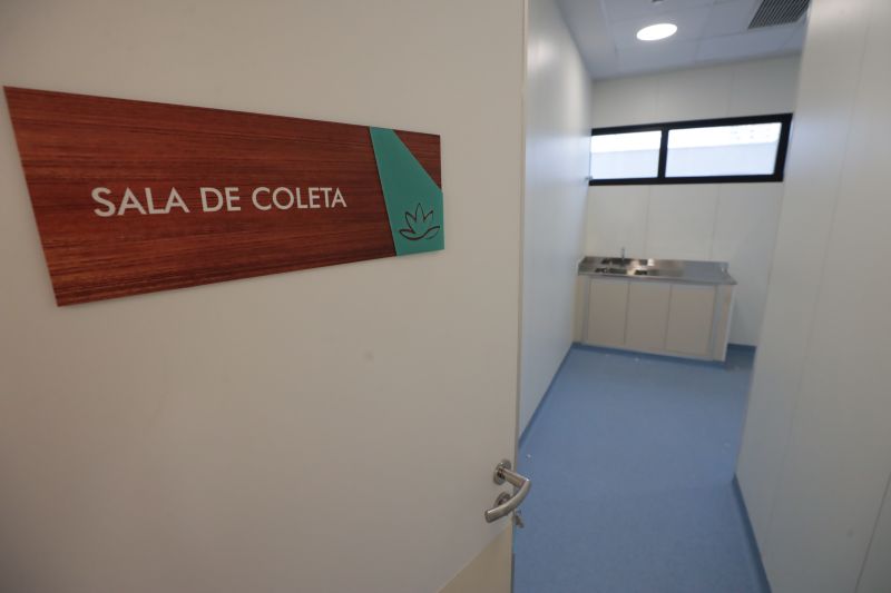  <div class='credito_fotos'>Foto: Pedro Guerreiro / Ag. Pará &nbsp;&nbsp;|&nbsp;&nbsp; <a href='/midias/2024/originais/20969_6c144ee3-9fd7-7e75-22ea-1cab7e6b60e0.jpg' download><i class='fa-solid fa-download'></i> Download</a></div>