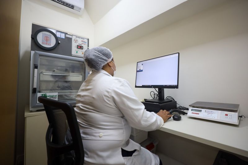  <div class='credito_fotos'>Foto: Rodrigo Pinheiro / Ag.Pará &nbsp;&nbsp;|&nbsp;&nbsp; <a href='/midias/2024/originais/21002_cbe0e134-4200-c0c8-8962-81800524d106.jpg' download><i class='fa-solid fa-download'></i> Download</a></div>