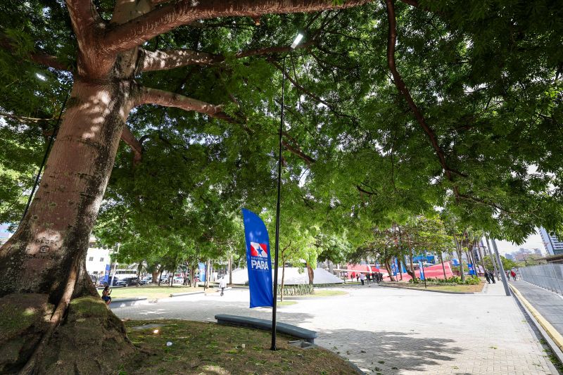  <div class='credito_fotos'>Foto: Marco Santos / Ag. Pará &nbsp;&nbsp;|&nbsp;&nbsp; <a href='/midias/2024/originais/21029_5be3f229-a5c7-7832-8d34-2633c62900cd.jpg' download><i class='fa-solid fa-download'></i> Download</a></div>