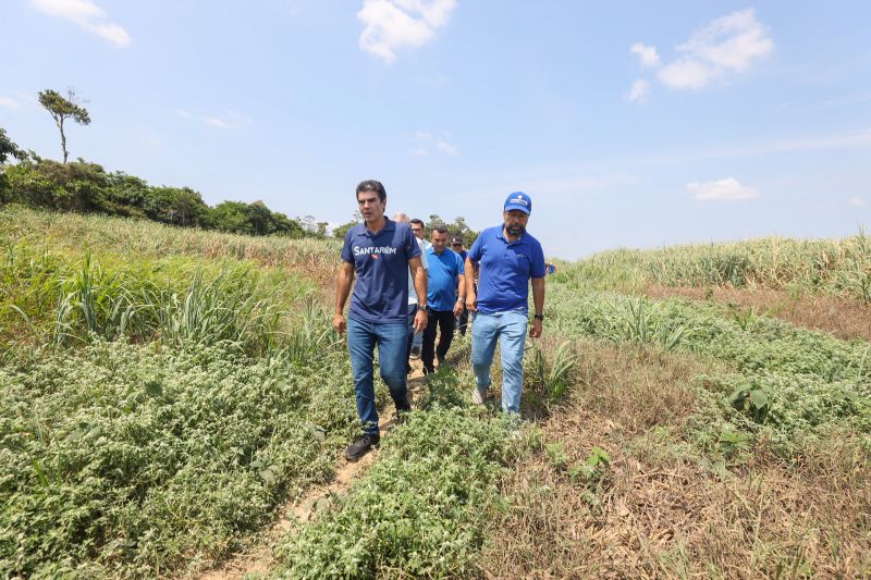  <div class='credito_fotos'>Foto: Bruno Cruz / Ag. Pará &nbsp;&nbsp;|&nbsp;&nbsp; <a href='/midias/2024/originais/21099_08fe7e1f-cb0d-3938-a415-1b2de361555e.jpg' download><i class='fa-solid fa-download'></i> Download</a></div>