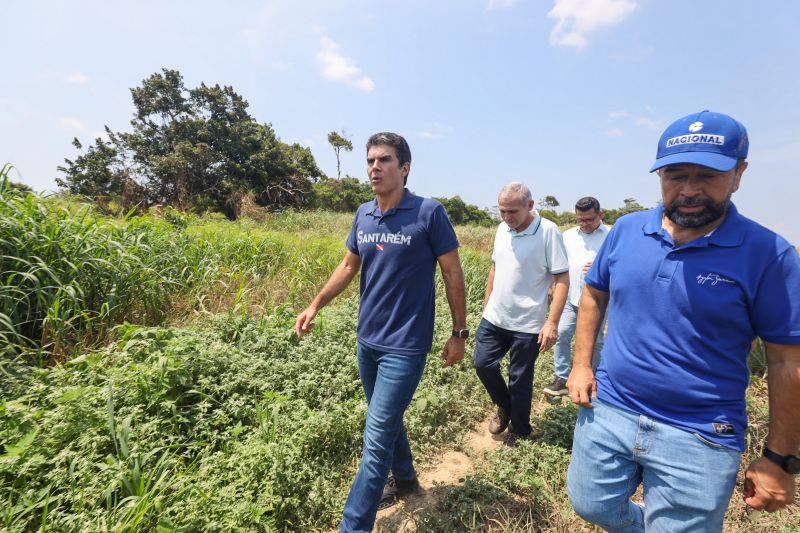  <div class='credito_fotos'>Foto: Bruno Cruz / Ag. Pará &nbsp;&nbsp;|&nbsp;&nbsp; <a href='/midias/2024/originais/21099_8be0c487-af1a-1c21-b00e-6f809826529c.jpg' download><i class='fa-solid fa-download'></i> Download</a></div>