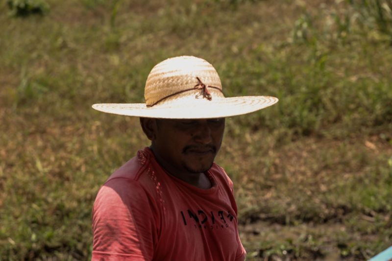  <div class='credito_fotos'>Foto: Bruno Cruz / Ag. Pará &nbsp;&nbsp;|&nbsp;&nbsp; <a href='/midias/2024/originais/21101_4f2b28e4-8382-6382-6113-6c2b532badc1.jpg' download><i class='fa-solid fa-download'></i> Download</a></div>