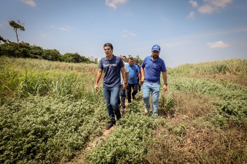  <div class='credito_fotos'>Foto: Bruno Cruz / Ag. Pará &nbsp;&nbsp;|&nbsp;&nbsp; <a href='/midias/2024/originais/21101_55a56c78-2ea6-2082-98b7-c9747a6626d4.jpg' download><i class='fa-solid fa-download'></i> Download</a></div>