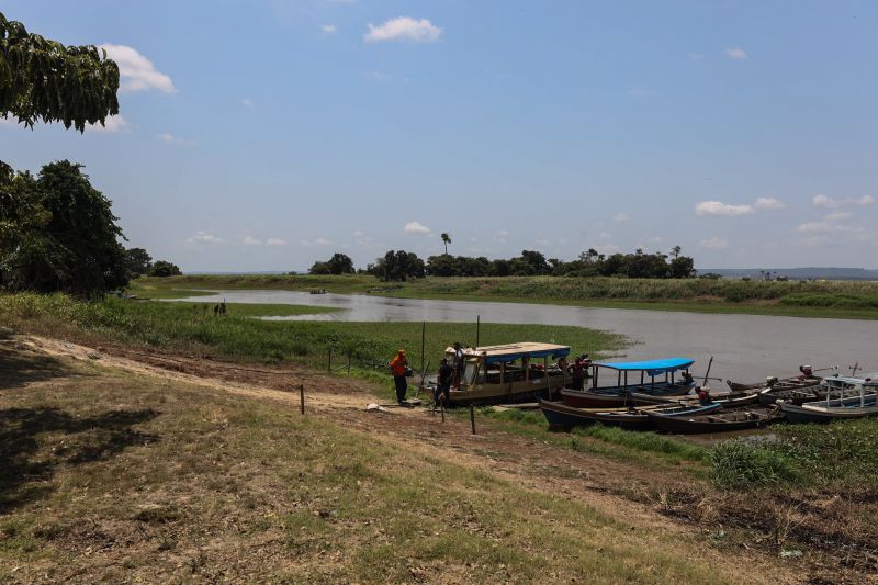  <div class='credito_fotos'>Foto: Bruno Cruz / Ag. Pará &nbsp;&nbsp;|&nbsp;&nbsp; <a href='/midias/2024/originais/21101_a5a15342-e224-3cc3-24ce-8eb5d763c68b.jpg' download><i class='fa-solid fa-download'></i> Download</a></div>