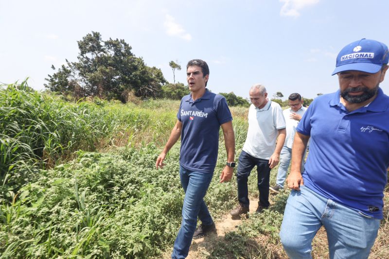  <div class='credito_fotos'>Foto: Bruno Cruz / Ag. Pará &nbsp;&nbsp;|&nbsp;&nbsp; <a href='/midias/2024/originais/21101_b6dde9a2-40a4-95a7-0dc7-1431f3e37bfe.jpg' download><i class='fa-solid fa-download'></i> Download</a></div>