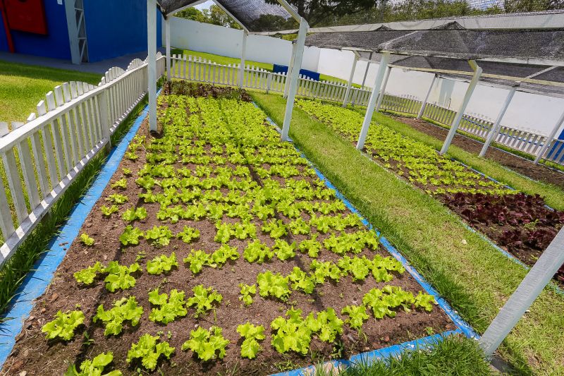  <div class='credito_fotos'>Foto: Alex Ribeiro / Ag. Pará &nbsp;&nbsp;|&nbsp;&nbsp; <a href='/midias/2024/originais/21103_5fd1a45a-9716-172b-b77e-53e07377d1d6.jpg' download><i class='fa-solid fa-download'></i> Download</a></div>