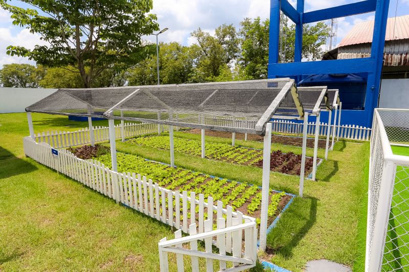  <div class='credito_fotos'>Foto: Alex Ribeiro / Ag. Pará &nbsp;&nbsp;|&nbsp;&nbsp; <a href='/midias/2024/originais/21103_7545872d-02da-2fcc-062a-ceb931ffee0c.jpg' download><i class='fa-solid fa-download'></i> Download</a></div>