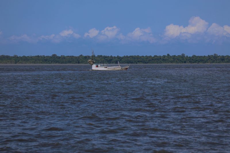  <div class='credito_fotos'>Foto: Marco Santos / Ag. Pará &nbsp;&nbsp;|&nbsp;&nbsp; <a href='/midias/2024/originais/21111_174a8413-cd7c-2d8a-6f3f-f44690c40451.jpg' download><i class='fa-solid fa-download'></i> Download</a></div>