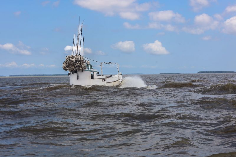  <div class='credito_fotos'>Foto: Bruno Cruz / Ag. Pará &nbsp;&nbsp;|&nbsp;&nbsp; <a href='/midias/2024/originais/21112_2233f81e-9fe8-e9e1-c5d9-a518ae39650d.jpg' download><i class='fa-solid fa-download'></i> Download</a></div>