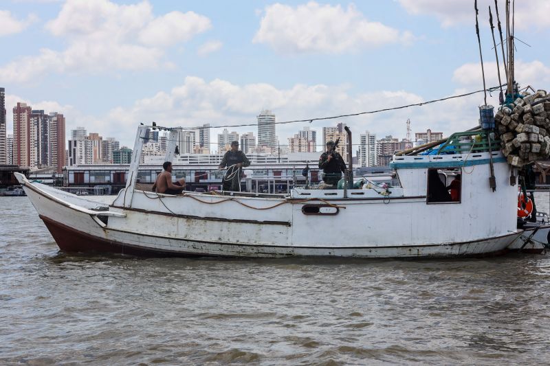  <div class='credito_fotos'>Foto: Bruno Cruz / Ag. Pará &nbsp;&nbsp;|&nbsp;&nbsp; <a href='/midias/2024/originais/21112_6489136b-673f-38f9-d518-783fc3c1981c.jpg' download><i class='fa-solid fa-download'></i> Download</a></div>