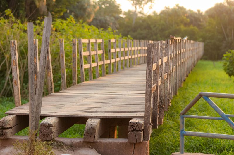  <div class='credito_fotos'>Foto: Marcelo Lelis / Ag. Pará &nbsp;&nbsp;|&nbsp;&nbsp; <a href='/midias/2024/originais/21127_32203bf9-542b-8f89-2009-676aa33b76e5.jpg' download><i class='fa-solid fa-download'></i> Download</a></div>