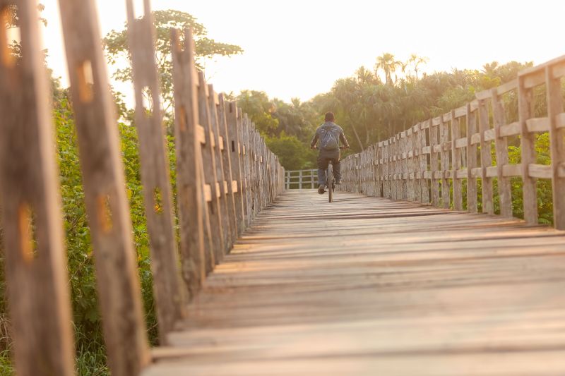  <div class='credito_fotos'>Foto: Marcelo Lelis / Ag. Pará &nbsp;&nbsp;|&nbsp;&nbsp; <a href='/midias/2024/originais/21127_45399273-b431-c137-1a16-bb0934a781da.jpg' download><i class='fa-solid fa-download'></i> Download</a></div>