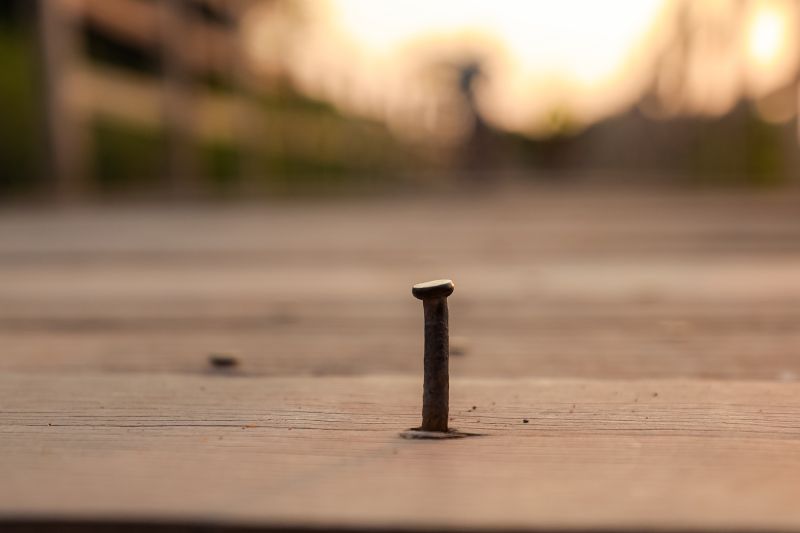  <div class='credito_fotos'>Foto: Marcelo Lelis / Ag. Pará &nbsp;&nbsp;|&nbsp;&nbsp; <a href='/midias/2024/originais/21127_78cd14a5-2c65-3480-a218-647ec92b377b.jpg' download><i class='fa-solid fa-download'></i> Download</a></div>