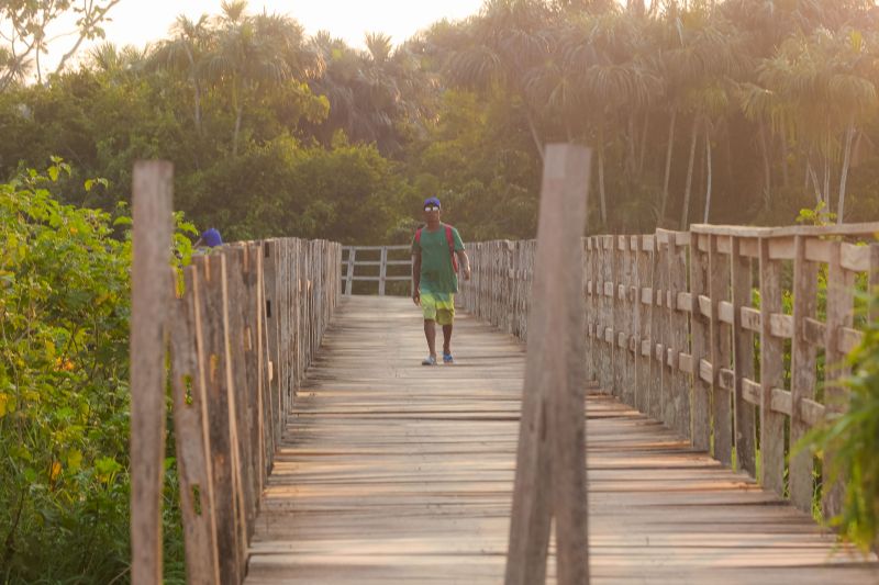  <div class='credito_fotos'>Foto: Marcelo Lelis / Ag. Pará &nbsp;&nbsp;|&nbsp;&nbsp; <a href='/midias/2024/originais/21127_9bd4b646-da01-1871-d422-33a9d1f30fbd.jpg' download><i class='fa-solid fa-download'></i> Download</a></div>