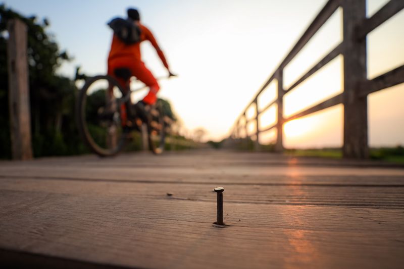  <div class='credito_fotos'>Foto: Marcelo Lelis / Ag. Pará &nbsp;&nbsp;|&nbsp;&nbsp; <a href='/midias/2024/originais/21127_a06edc46-f741-7b90-57c8-79d3de9fc8be.jpg' download><i class='fa-solid fa-download'></i> Download</a></div>