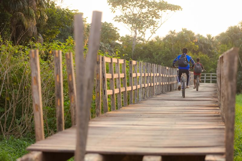  <div class='credito_fotos'>Foto: Marcelo Lelis / Ag. Pará &nbsp;&nbsp;|&nbsp;&nbsp; <a href='/midias/2024/originais/21127_be043a87-cc2e-3680-4e66-31ee2d60c762.jpg' download><i class='fa-solid fa-download'></i> Download</a></div>