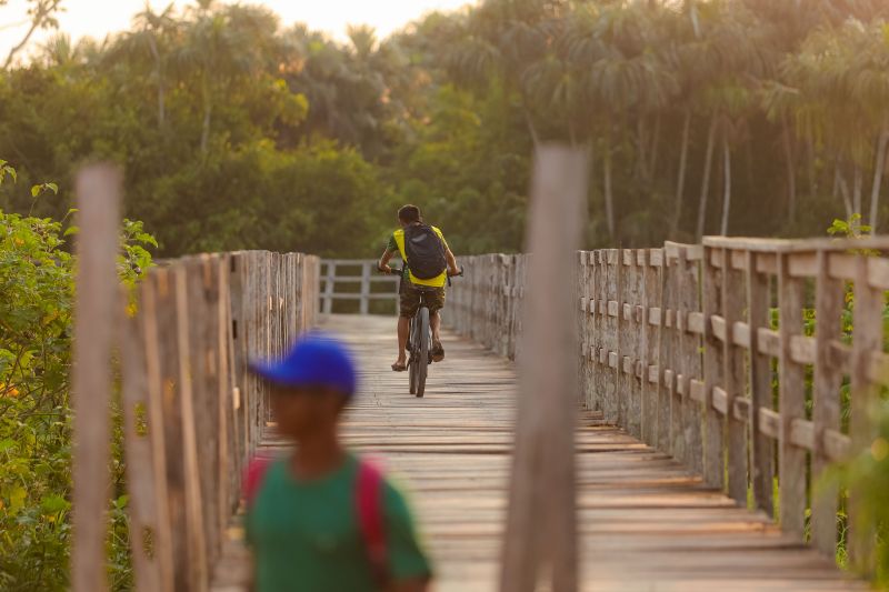  <div class='credito_fotos'>Foto: Marcelo Lelis / Ag. Pará &nbsp;&nbsp;|&nbsp;&nbsp; <a href='/midias/2024/originais/21127_c992d022-02b0-71b1-217b-6100b4c5e527.jpg' download><i class='fa-solid fa-download'></i> Download</a></div>