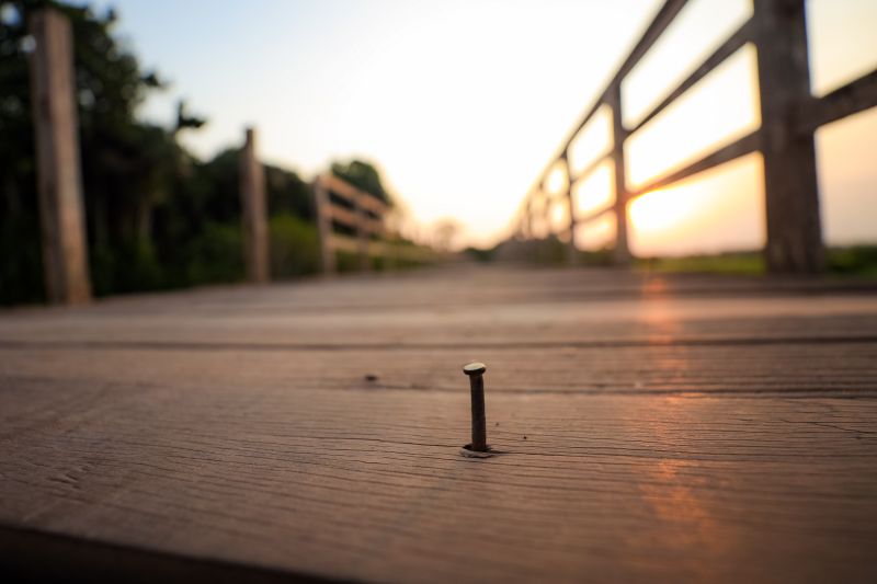  <div class='credito_fotos'>Foto: Marcelo Lelis / Ag. Pará &nbsp;&nbsp;|&nbsp;&nbsp; <a href='/midias/2024/originais/21127_d55ae6f9-8810-fd9e-4cb1-a8e82fa693be.jpg' download><i class='fa-solid fa-download'></i> Download</a></div>