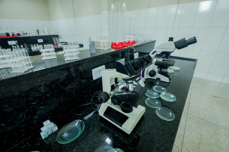  <div class='credito_fotos'>Foto: Bruno Cruz / Ag. Pará &nbsp;&nbsp;|&nbsp;&nbsp; <a href='/midias/2024/originais/21142_5f1eb9f5-f1cc-a3f8-ec7b-260137619b72.jpg' download><i class='fa-solid fa-download'></i> Download</a></div>