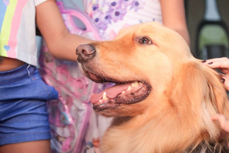  <div class='credito_fotos'>Foto: Pedro Guerreiro / Ag. Pará &nbsp;&nbsp;|&nbsp;&nbsp; <a href='/midias/2024/originais/21175_41bd2bd5-1968-ccfc-d8ce-e9a680ab5d3d.jpg' download><i class='fa-solid fa-download'></i> Download</a></div>