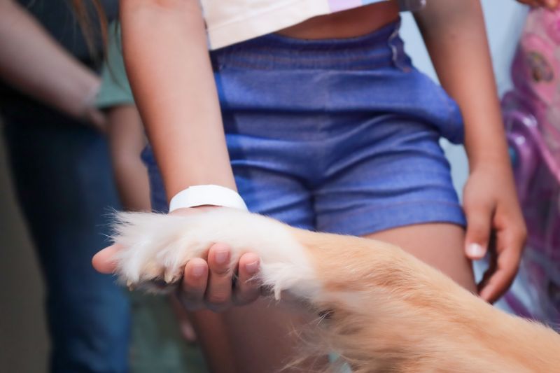  <div class='credito_fotos'>Foto: Pedro Guerreiro / Ag. Pará &nbsp;&nbsp;|&nbsp;&nbsp; <a href='/midias/2024/originais/21175_43fbc96b-92ba-41bf-ed1a-cebd5eaa224c.jpg' download><i class='fa-solid fa-download'></i> Download</a></div>