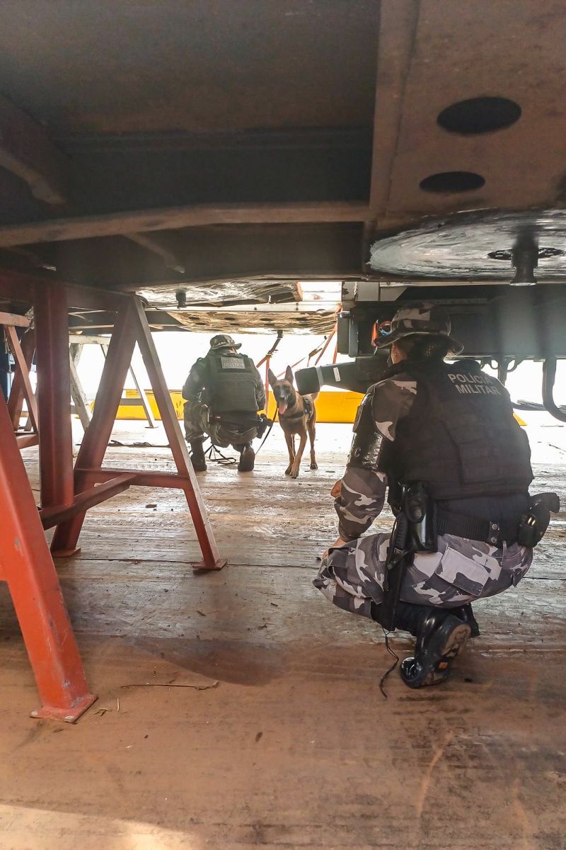  <div class='credito_fotos'>Foto: Divulgação &nbsp;&nbsp;|&nbsp;&nbsp; <a href='/midias/2024/originais/21179_0af11ae2-3cb1-9287-06c2-6d5e7f1b4798.jpg' download><i class='fa-solid fa-download'></i> Download</a></div>