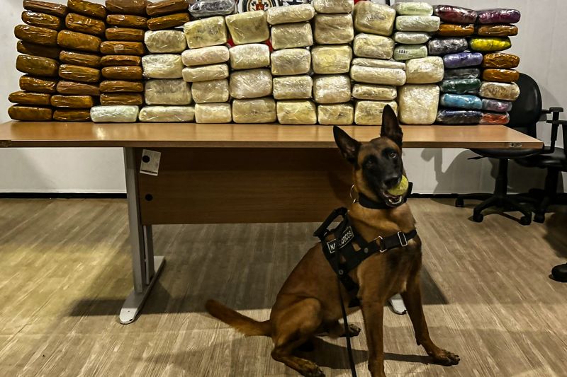  <div class='credito_fotos'>Foto: Divulgação &nbsp;&nbsp;|&nbsp;&nbsp; <a href='/midias/2024/originais/21179_166a3245-2582-2322-e07b-b1cf292e4348.jpg' download><i class='fa-solid fa-download'></i> Download</a></div>